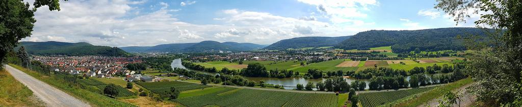 Hotel Rosenbusch Grossheubach Luaran gambar